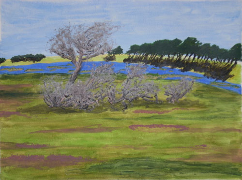 Wetlands (in watercolor)