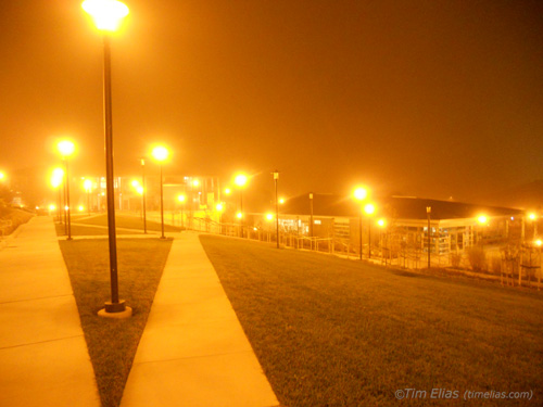 Misty Campus