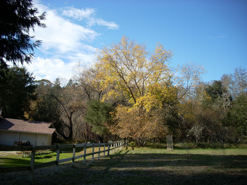 Ranch House in Autumn