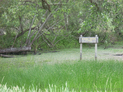 Green Pond (Quail Hollow Ranch)