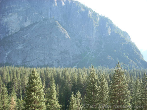 Punch Bowl 5 (Yosemite)