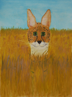 Painting of a Serval