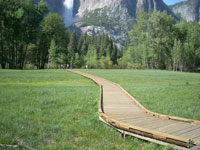 wooden path across a field